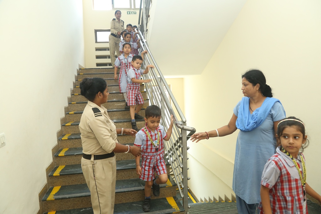 progressive-curriculum